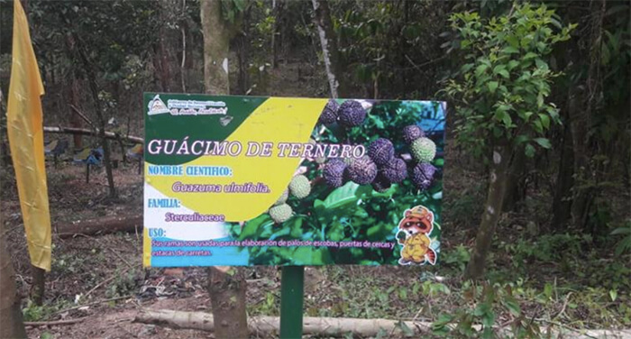 arboreto-municipal-muelle-de-los-bueyes